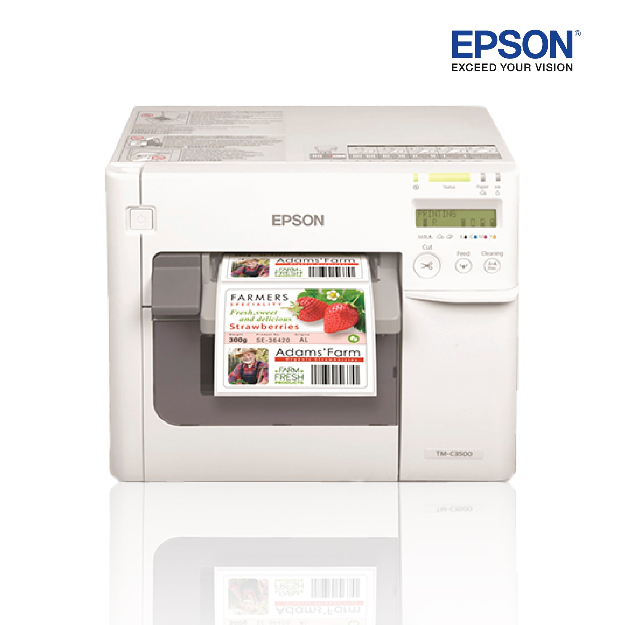 Impresora de etiquetas EPSON COLORWORKS C3500